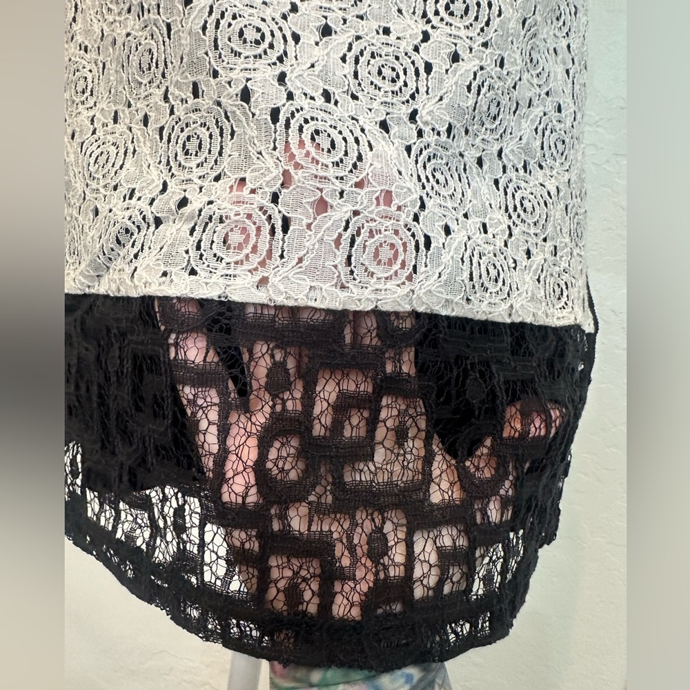 Anthropology Weston Wear Women’s XS
Black and white lace top with short sleeves - Picture 5 of 9